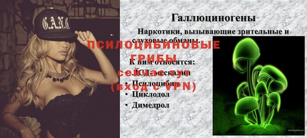 герыч Новокубанск