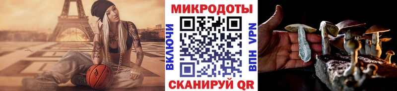 где купить наркотик Сосновка Галлюциногенные грибы MAGIC MUSHROOMS